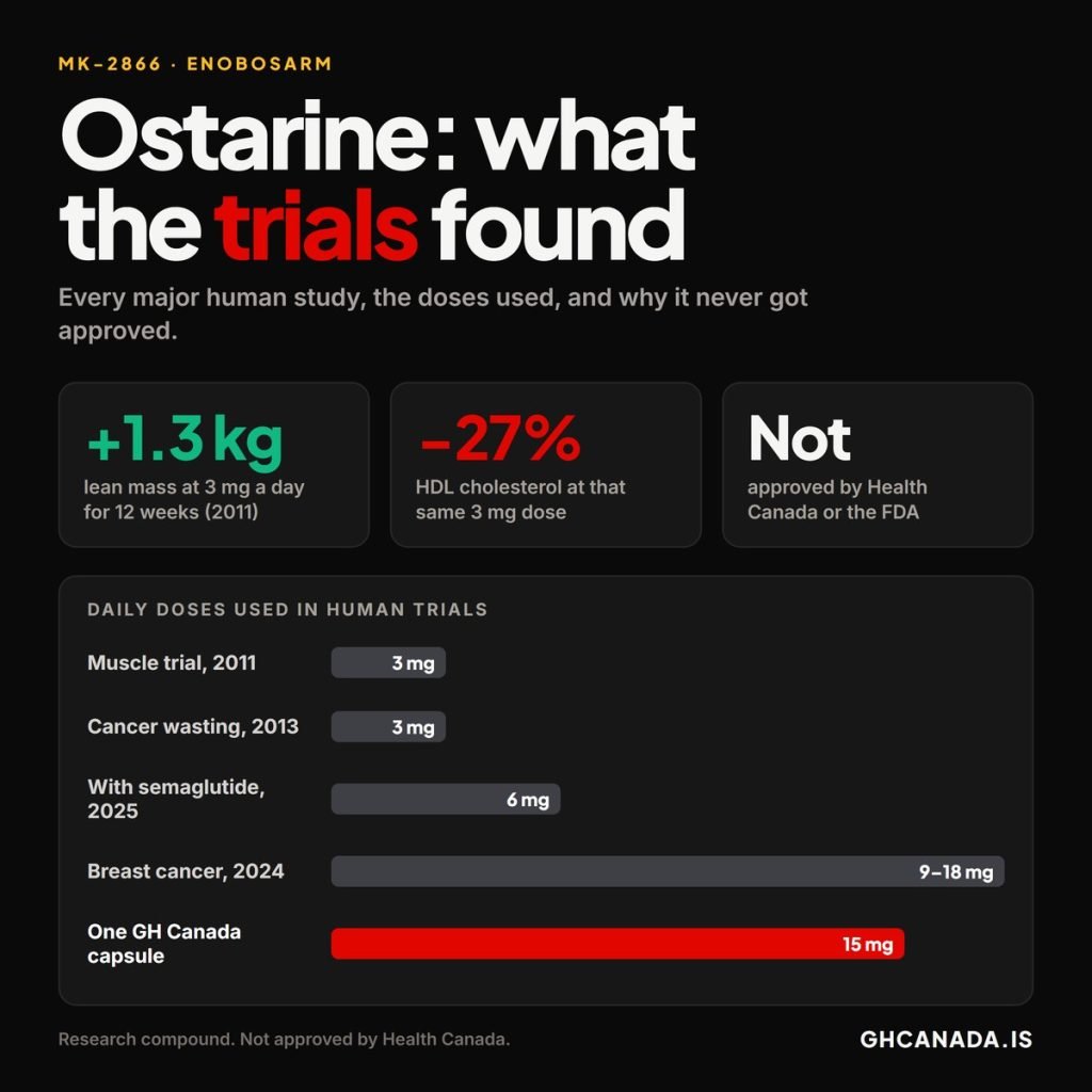 Ostarine (MK-2866): What the Human Trials Actually Found